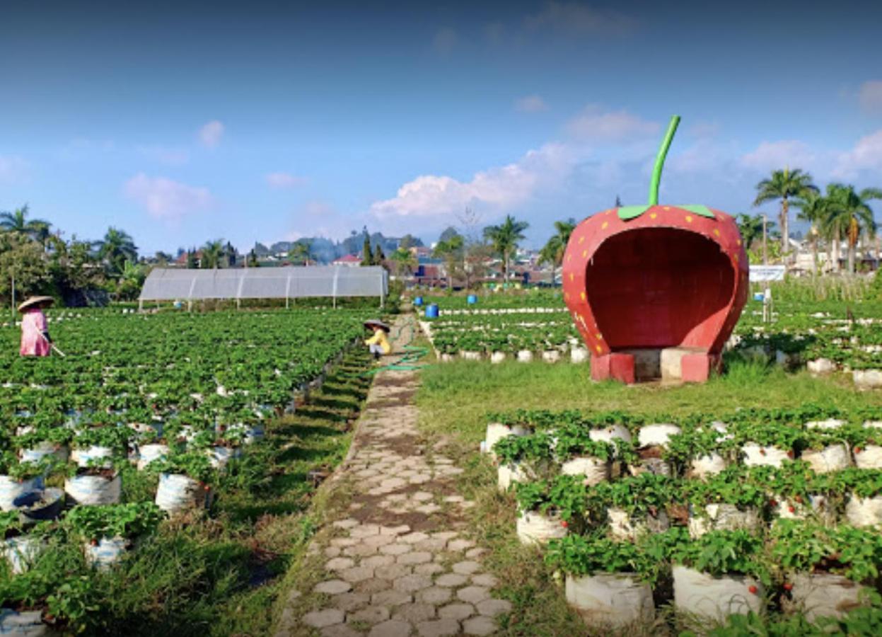 Villa Musti Green Apple Cipanas Sindanglaya Luaran gambar